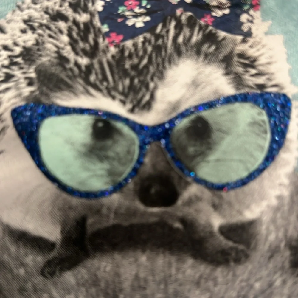 Vintage Y2K Justice Hedgehog & Raccoon Baby Blue Top Size 7 “Love One Another”